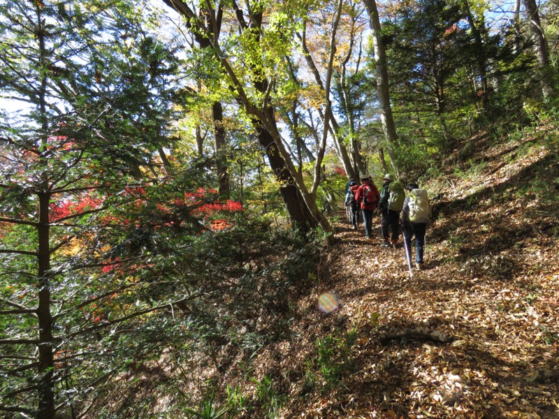 奥久慈・男体山